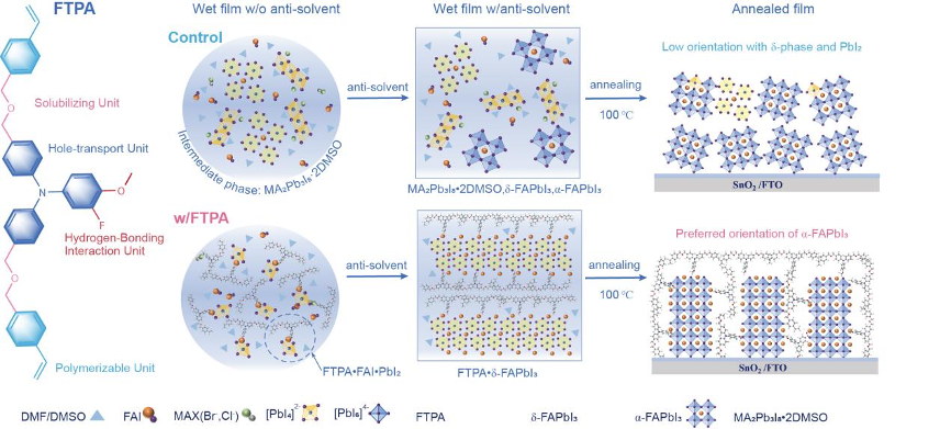 新型多功能氟取代添加剂设计及钙钛矿薄膜结晶机制分析