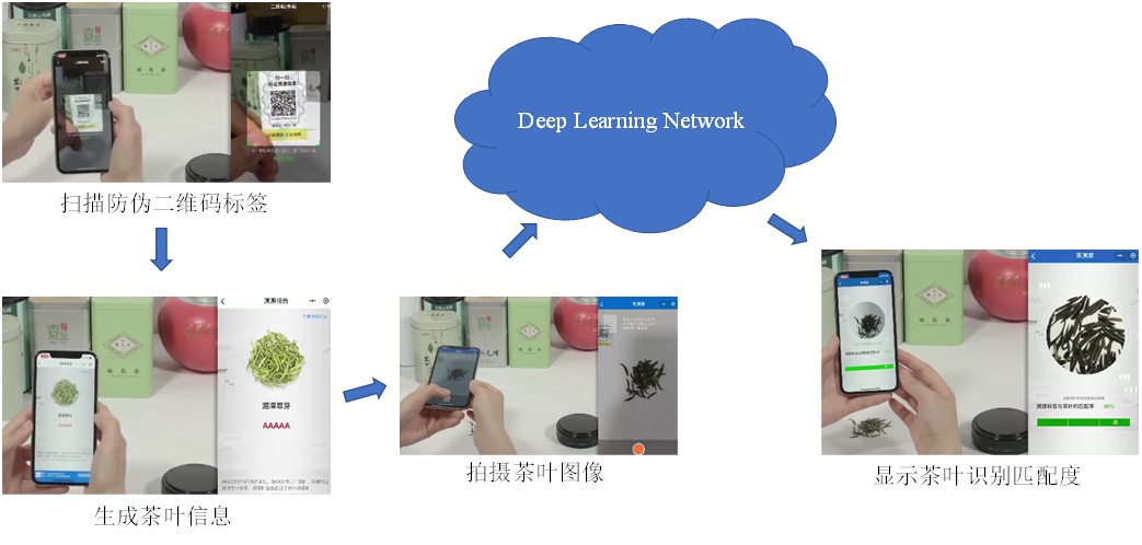 茶叶图像的识别及溯源码信息验证过程